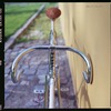 Moser Pista photo