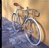 Moser Pista photo