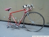 Moser - Singlespeed photo