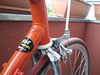 Moser - Singlespeed photo