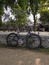 Mosso SF705 photo
