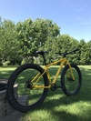 Motobecane 29+ SS photo