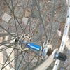 Motobecane Champion special 1983 photo