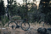 Custom Titanium road bike photo