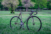 Mraz project - custom fixed gear photo