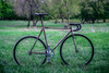 Mraz project - custom fixed gear photo