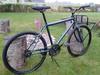 MTB Cruiser photo