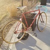 Mundo Cycles fixed gear photo