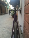 Pure Fix Track Keirin Duochrome photo