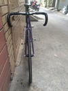 Pure Fix Track Keirin Duochrome photo