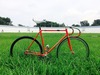 vivalo pro special njs photo