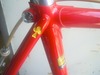 My Colnago Athena photo