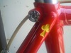 My Colnago Athena photo