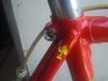 My Colnago Athena photo