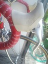 My Colnago Athena photo