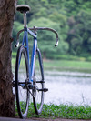 My COLNAGO REFLEX Pista / Taipei photo