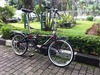 My Dahon STOWAWAY photo