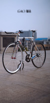 My old fixie photo