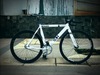 White VISP NXL photo