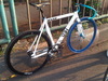 White VISP NXL photo