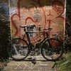 Mystery Frame Single Speed photo