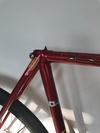 Nagasawa Special NJS 52cm photo