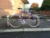 Nagasawa Special 2004 Sparkly purple photo