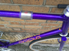 Nagasawa Special 2004 Sparkly purple photo