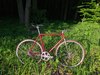 Nagasawa Special Nakano Red photo