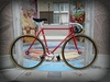 Nagasawa Special - Nakano Red photo