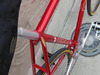 Nagasawa Special - Nakano Red photo