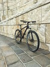 Nashbar Cromo 29er hardtail photo