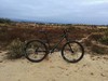 Nashbar Cromo 29er hardtail photo