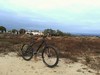 Nashbar Cromo 29er hardtail photo