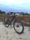 Nashbar Cromo 29er hardtail photo