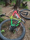 Neon RattleCan-Rasta 29er photo