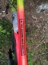 Neon RattleCan-Rasta 29er photo