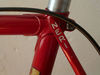 Neri - Roadbike photo