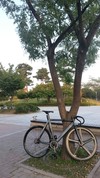 new bike kissena check it! photo