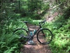 Niner RLT 9 RDO photo