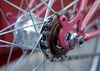 Nishiki Sport MIXTE (Pink/Red) photo