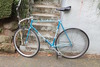 NJS Bridgestone Fade (frameset SOLD) photo