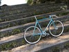 NJS Bridgestone Fade (frameset SOLD) photo