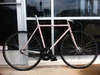 NJS Sakura Samson photo