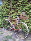 Nöll Randonneur Campy 10 Centaur Noell photo