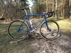 No Name SSCX photo