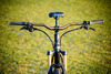 NS Bikes Eccentric photo