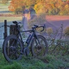 NS Bikes Rag+ commuter gravel road bike photo