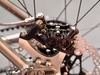 Nua Roure Pinion Smart.Shift photo