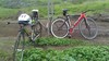 Oahu Cyclist photo